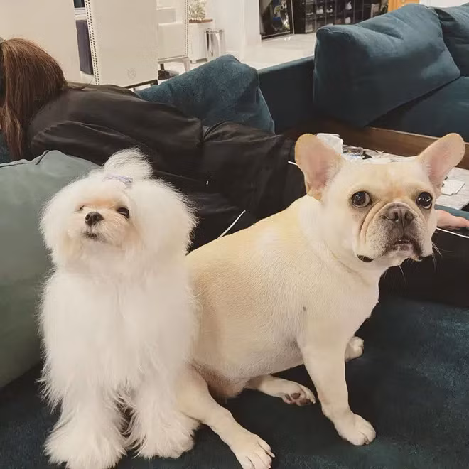 Một góc khác trong phòng khách được Linh Rin hé lộ. Nguồn ảnh: FBNV