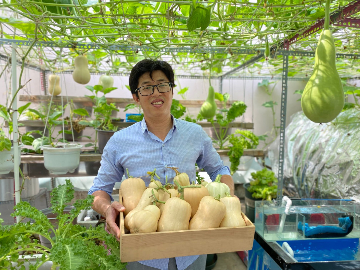 Muot mat vuon rau sach phu kin san thuong cua ong bo tre Sai thanh