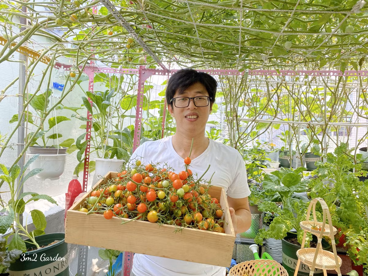 Khu vườn trên sân thượng của gia đình anh Nguyện rộng 30m2.