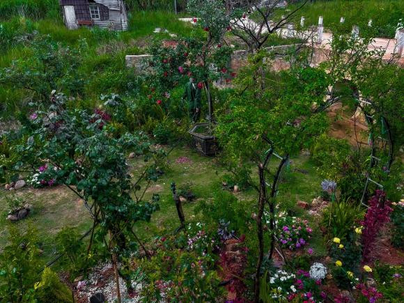 Nhà thiết kế nổi tiếng dành nhiều tâm huyết cho khu vườn.