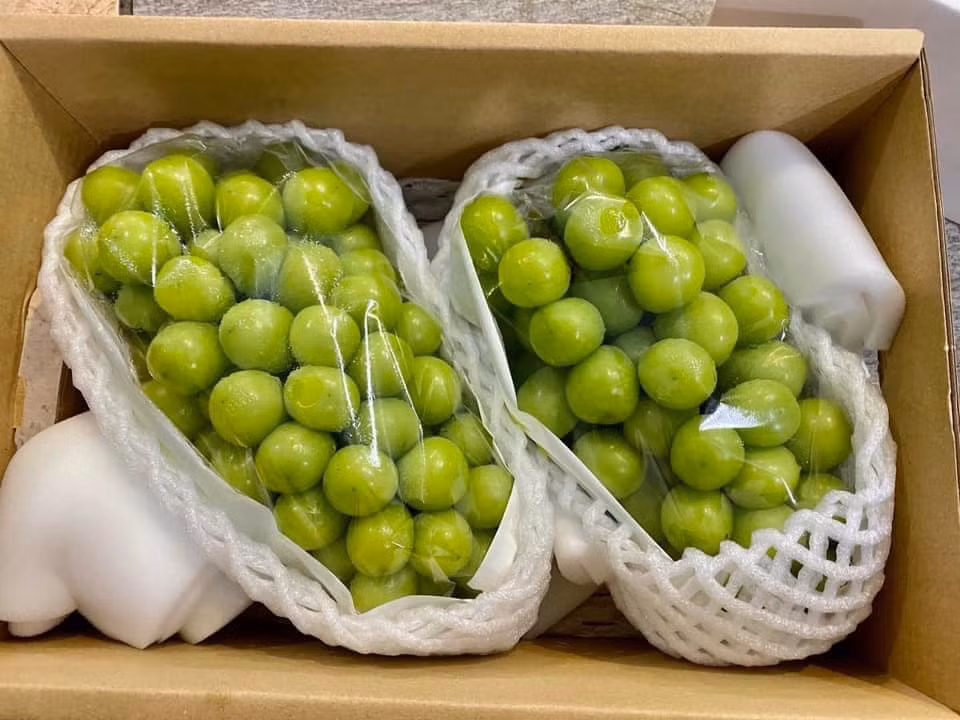 Với kinh nghiệm bán hàng nhiều năm, cô Liên (Long Biên, Hà Nội) khẳng dịnh, nho sữa giá rẻ đang bán đầy chợ là nho trồng tại Trung Quốc.