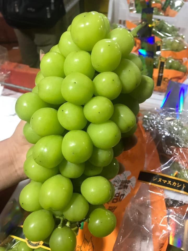 Những chùm nho sữa quả to, da căng bóng, giòn ngọt lại có giá rẻ bất ngờ nên được đông đảo chị em mua về ăn thử.