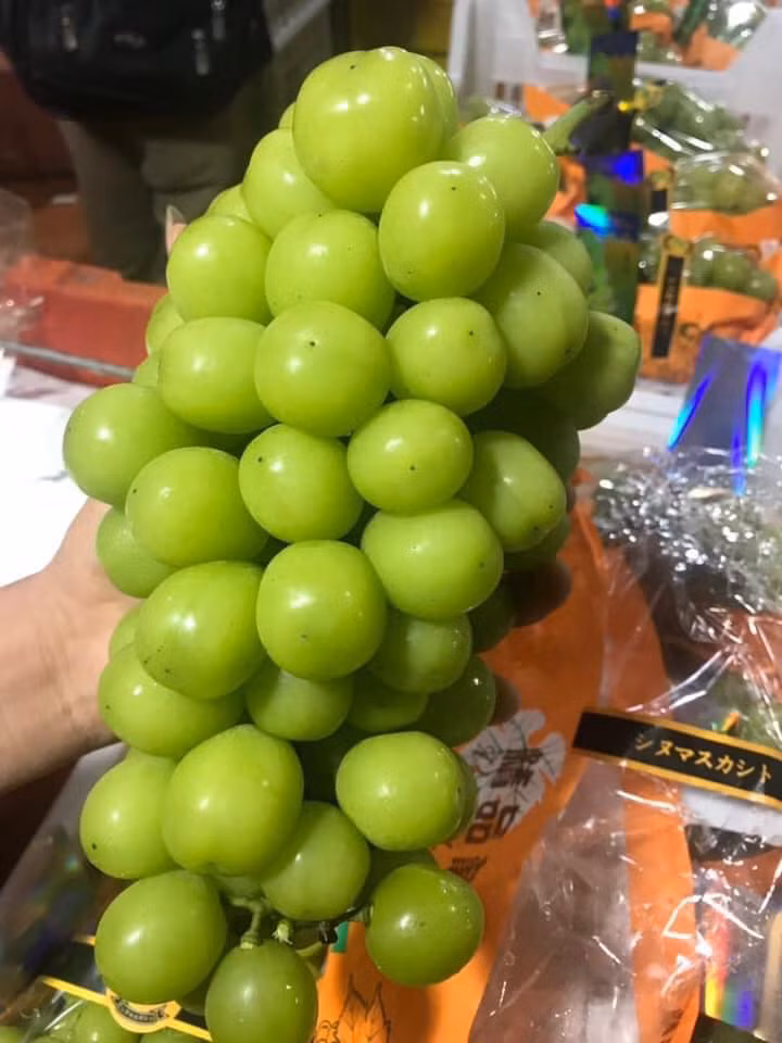 Những chùm nho sữa quả to, da căng bóng, giòn ngọt lại có giá rẻ bất ngờ nên được đông đảo chị em mua về ăn thử.