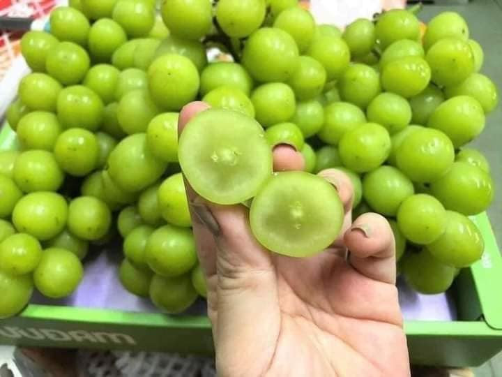 Đặt mua thùng nho sữa 3kg với giá 299.000 đồng, chị Thảo (Bắc Từ Liêm, Hà Nội) cho biết, thấy chùm nho quả to, đẹp, giá rẻ hơn cả nho Mỹ nên đặt cả thùng về ăn.