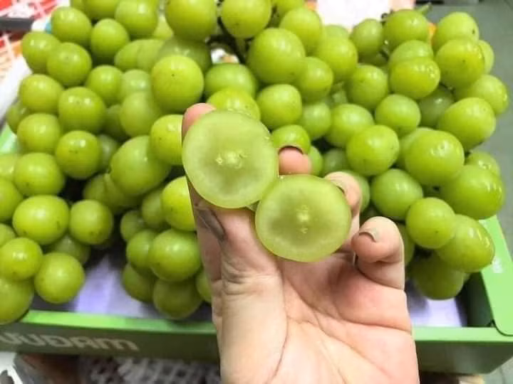 Đặt mua thùng nho sữa 3kg với giá 299.000 đồng, chị Thảo (Bắc Từ Liêm, Hà Nội) cho biết, thấy chùm nho quả to, đẹp, giá rẻ hơn cả nho Mỹ nên đặt cả thùng về ăn.