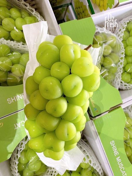 Loại nho này đắt vì chúng được chọn lọn kỹ và không dùng chất hoá học trong quá trình canh tác.