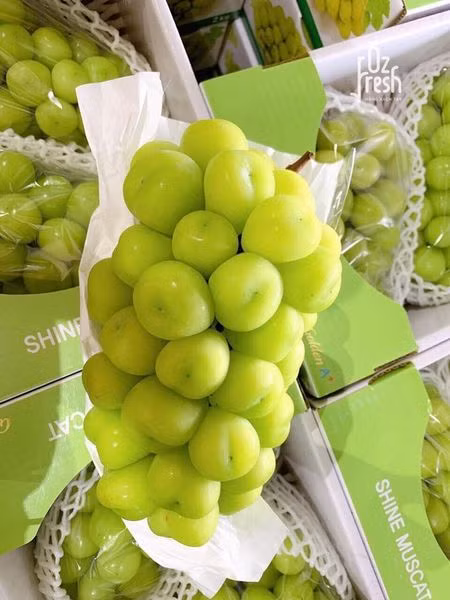 Loại nho này đắt vì chúng được chọn lọn kỹ và không dùng chất hoá học trong quá trình canh tác.