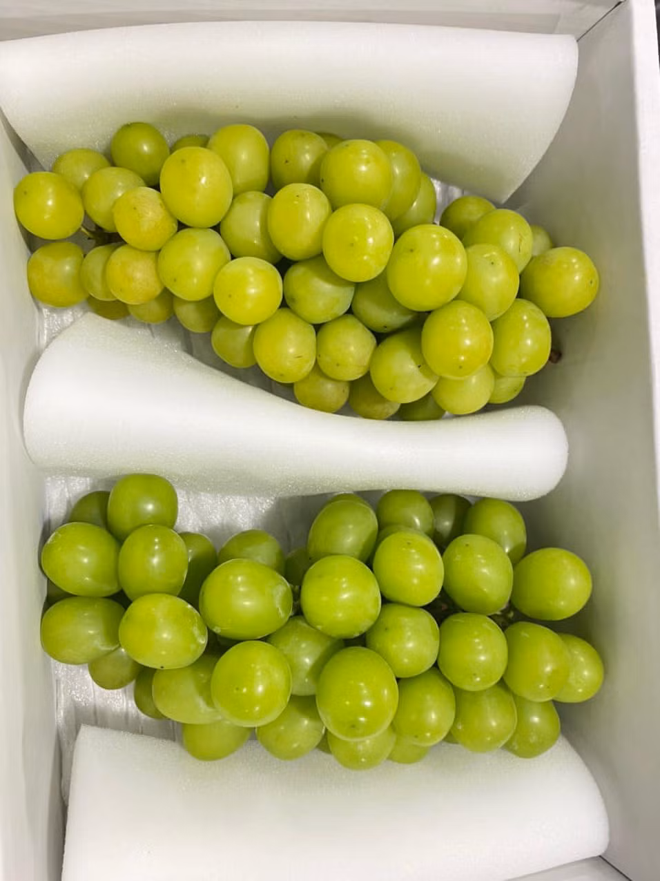 Dù vậy, người tiêu dùng vẫn nên chọn mua ở cửa hàng uy tín để tránh mua phải hàng không rõ nguồn gốc, chất lượng kém. Nguồn ảnh: Facebook