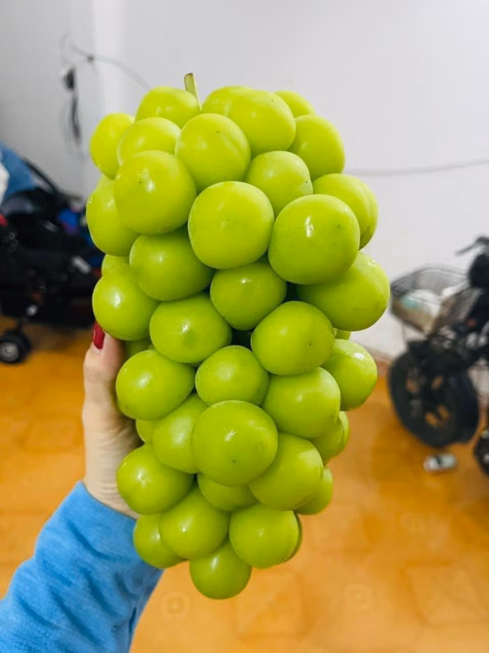 Theo chị Thảo, người bán quảng cáo là nho sữa giống Nhật, ăn giòn tan, ngọt lịm nhưng khi ăn thì không quá xuất sắc như lời quảng cáo.