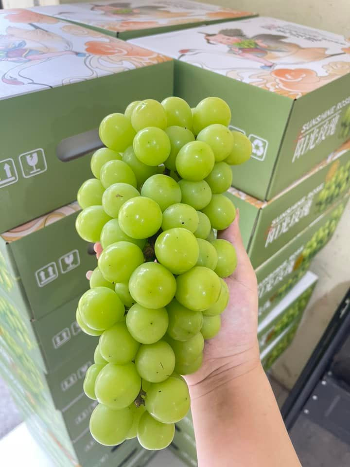Theo cô Liên, nho sữa Trung Quốc ăn cũng giòn, ngọt, thơm nhưng chất lượng không thể bằng nho Hàn hay Nhật Bản. Đổi lại, mức giá hợp túi tiền với nhiều khách hàng nên nho sữa Trung Quốc vẫn hút khách.