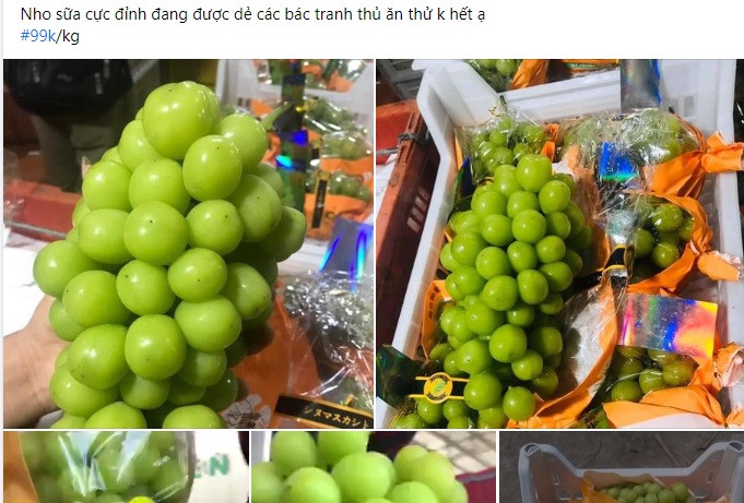 Tuy nhiên, thời gian gần đây, nho sữa bất ngờ được rao bán nhiều trên chợ mạng với giá rất rẻ, chỉ từ 99.000 đồng/kg.