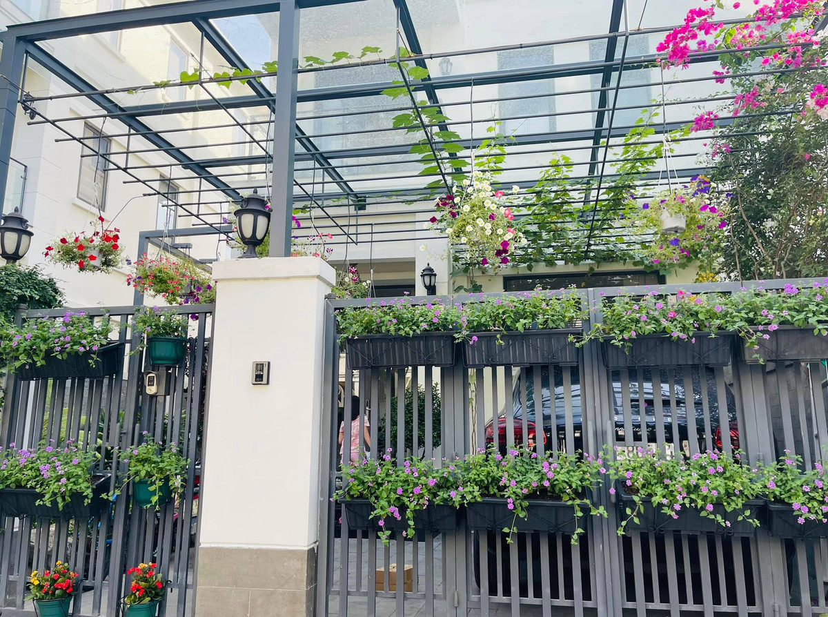 Ngoài hoa hồng,MC Vân Hugo còn trồng rất nhiều loài hoa khác.