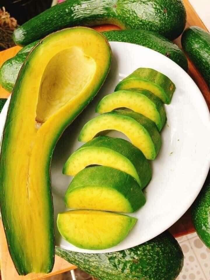 Theo các thương lái, giá bơ 034 tại vườn hiện rất thấp, thấp hơn cả năm trước, chỉ từ 10.000 - 12.000 đồng/kg, tuỳ loại. Ảnh: Facebook