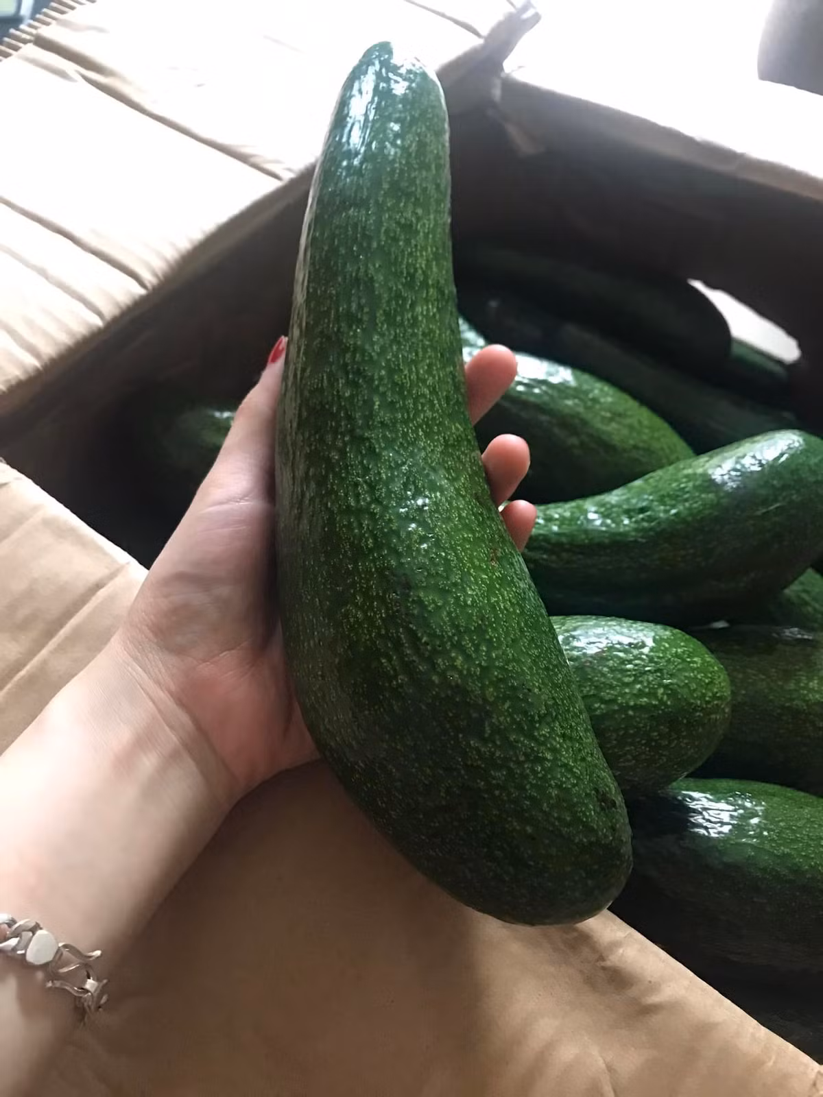 Cách đây khoảng hơn 1 tháng, giá bơ 034 đao dộng từ 70.000 - 80.000 đồng/kg. Tuy nhiên, sau dịp 30/4, bơ mỗi ngày một rớt giá. Ảnh: Facebook