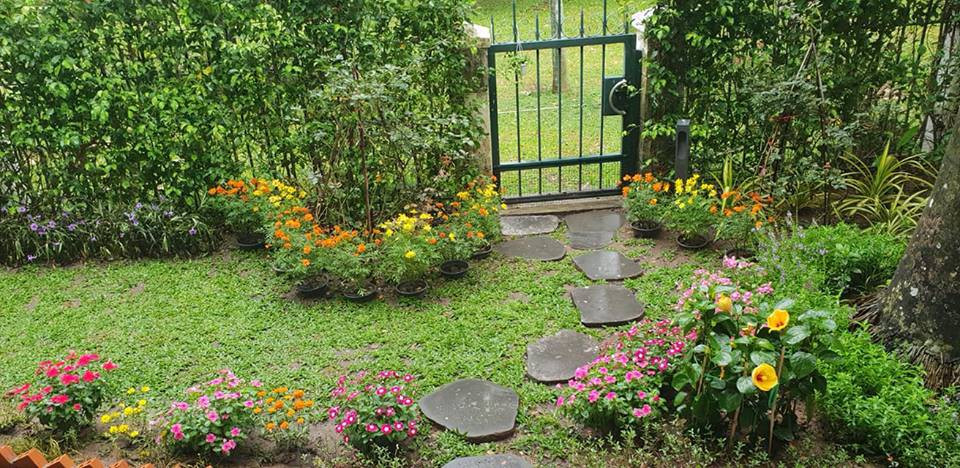 Phía ngoài biệt thự là khoảng sân vườn xanh mướt mắt. Ảnh: Giadinhnet