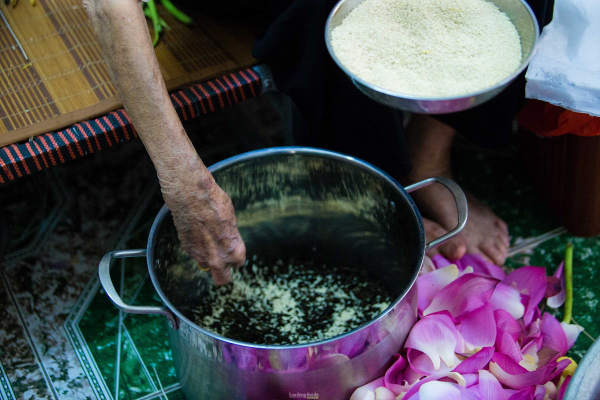 Sau đó đến công đoạn ướp trà. Trà sen phải đủ 7 lần ướp. Trong đó, cứ một lượt gạo lại một lượt chè, ướp trà xong lại mang đi sấy khô. Ảnh: Laodongthudo