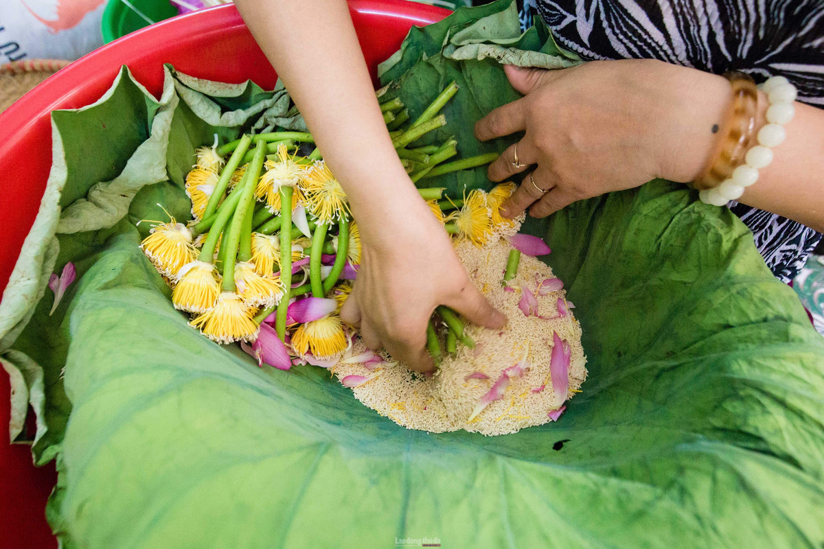 Lấy gạo sen là công đoạn khó nhất, bởi người nghệ nhân phải khéo tay, nhanh mắt để gạo không bị nát, giữ nguyên mùi thơm đặc trưng của sen. Ảnh: Laodongthudo