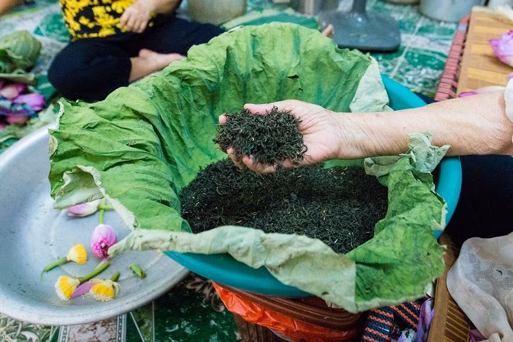 Chè ướp chung với gạo sen thường là chè Tân Cương (Thái Nguyên) cánh nhỏ, thấm hương vừa độ. Ảnh: Dân Việt