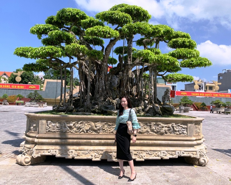 Theo chủ nhân, "Nham thạch bách niên” là cây sanh cổ quần thụ, thuộc dòng sanh quê (phát triển rất chậm) có chiều cao hơn 5m (tính từ mặt chậu). Ảnh: Baothanhhoa