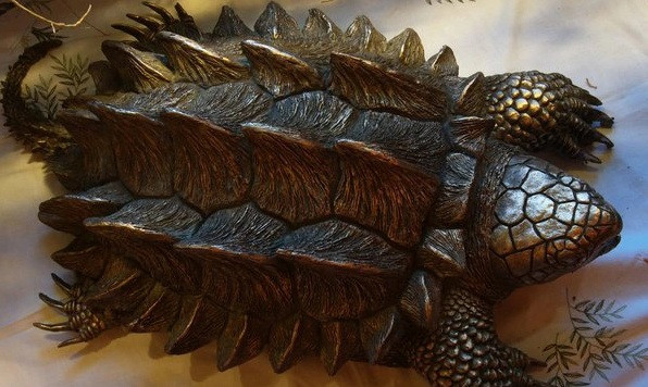 Trên thế giới, rùa khủng long sống ở nước ngọt được mệnh danh là loài rùa lớn nhất thế giới nhưng khi được nhân giống đưa vào Việt Nam rùa chỉ có size nhỏ đến rất nhỏ, khoảng trên dưới 20cm/con. Ảnh: Dân Việt