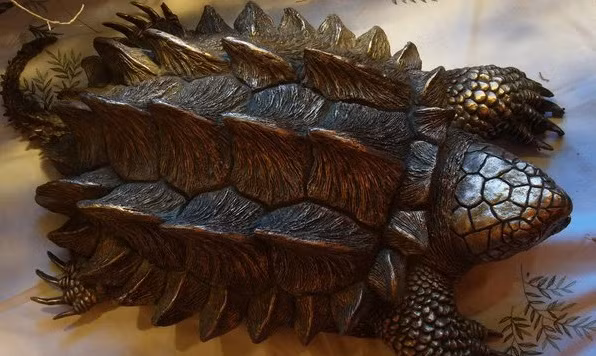 Trên thế giới, rùa khủng long sống ở nước ngọt được mệnh danh là loài rùa lớn nhất thế giới nhưng khi được nhân giống đưa vào Việt Nam rùa chỉ có size nhỏ đến rất nhỏ, khoảng trên dưới 20cm/con. Ảnh: Dân Việt