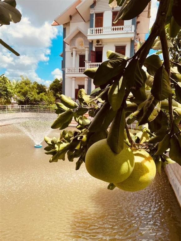 Đó là một căn biệt thự được xây dựng hiện đại, khang trang, theo mô hình nhà vườn.