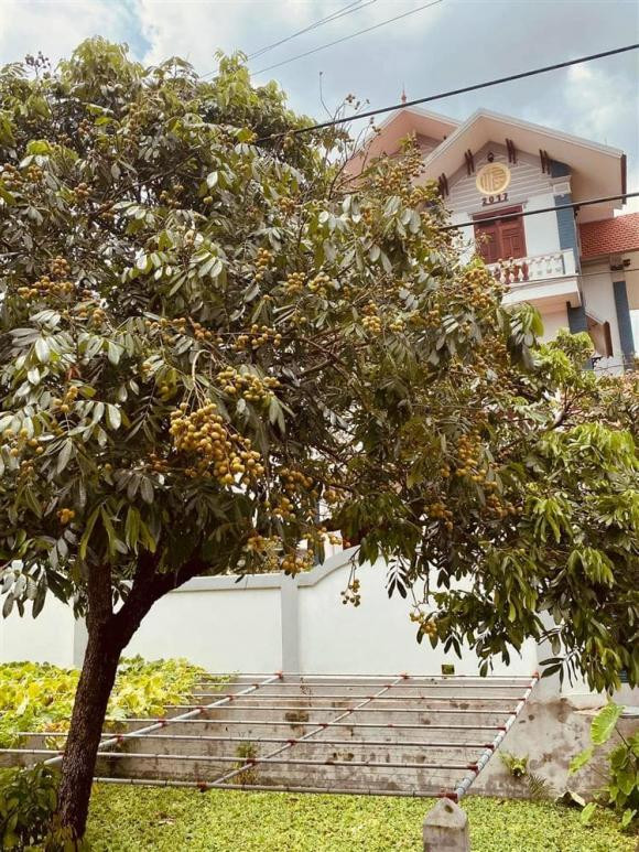 Cơ ngơi "hoành tráng" của vị hôn phu Ngọc Hân khiến dân tình ngưỡng mộ.