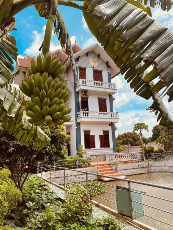 Bao quanh căn nhà 3 tầng là hệ thống sân vườn, ao cá tựa như khu du lịch sinh thái.