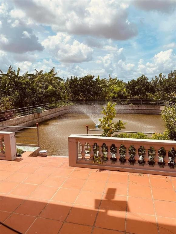 Ao cá với hệ thống phun nước tự động.