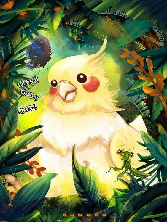 Bạn đã bao giờ nhìn thấy một con vẹt biết nói chưa?