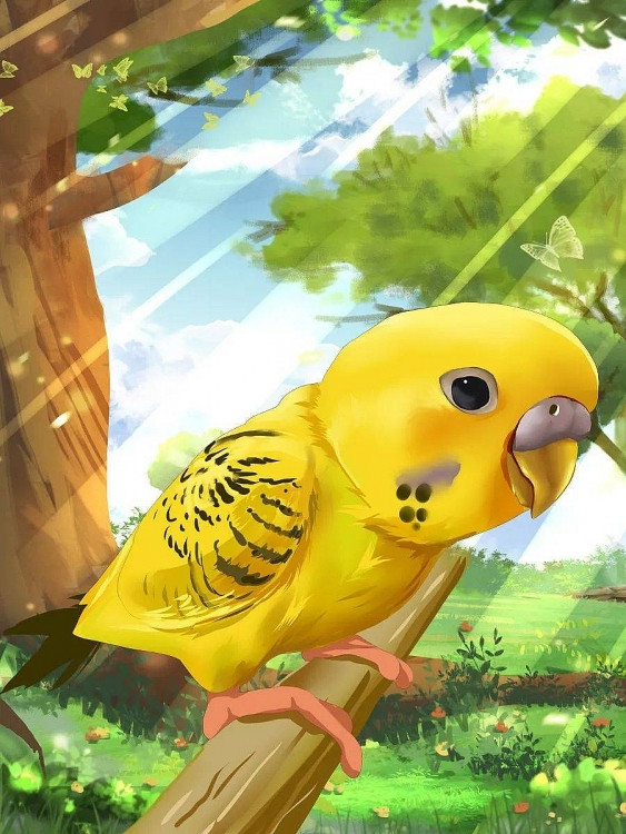 Mỏ của vẹt to hơn các loài chim khác, đầu lưỡi tròn.