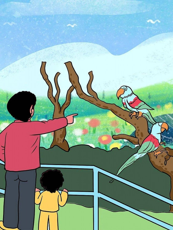 Cho trẻ em đến sở thú tham quan vừa có thể chơi vừa có thể nói chuyện với các chú vẹt ở đây.