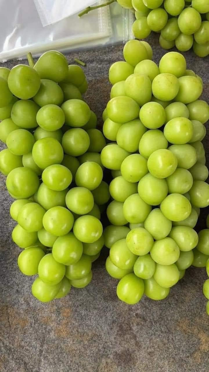 Những chùm nho mẫu đơn quả đều, đẹp mắt và nặng từ 700g - 1,2 kg. Ảnh: Facebook