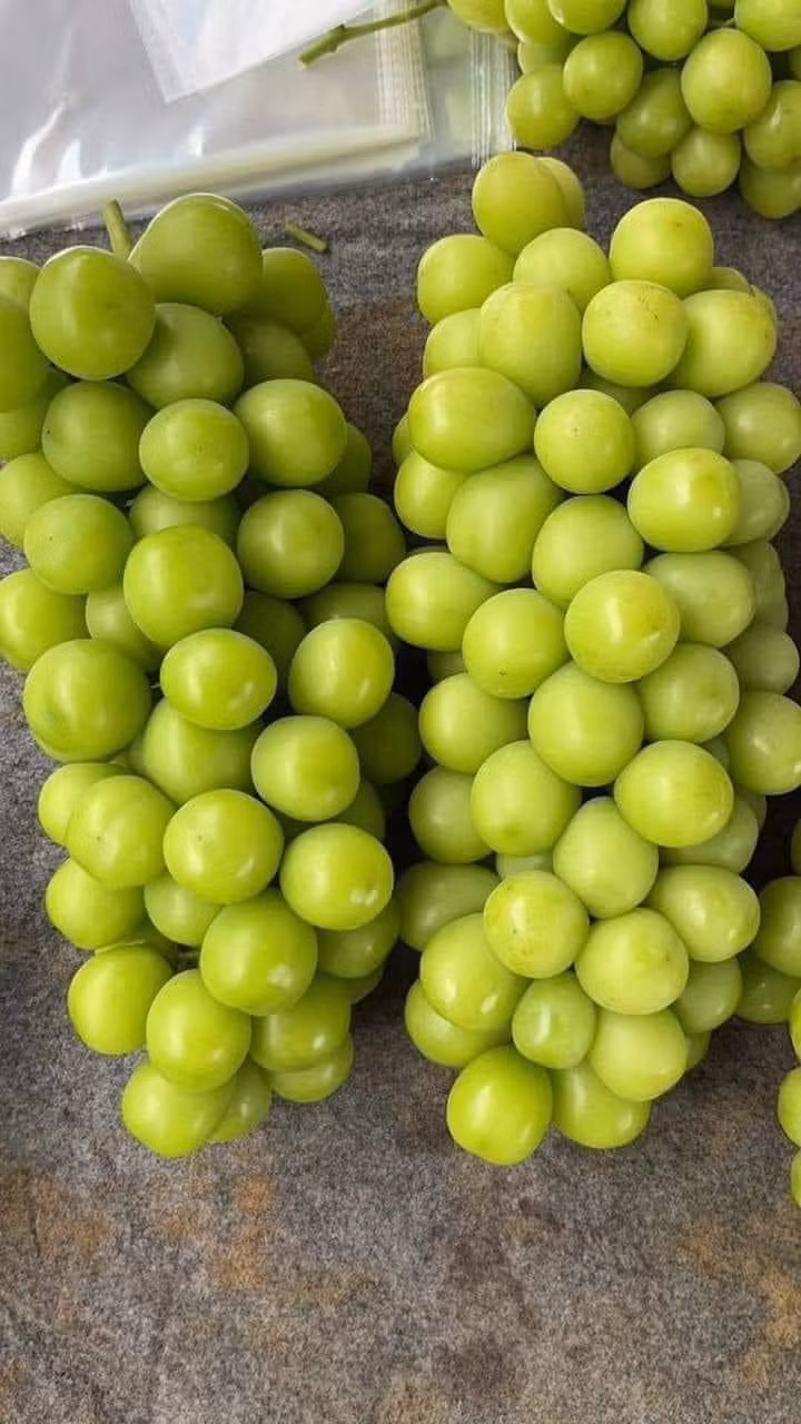 Những chùm nho mẫu đơn quả đều, đẹp mắt và nặng từ 700g - 1,2 kg. Ảnh: Facebook