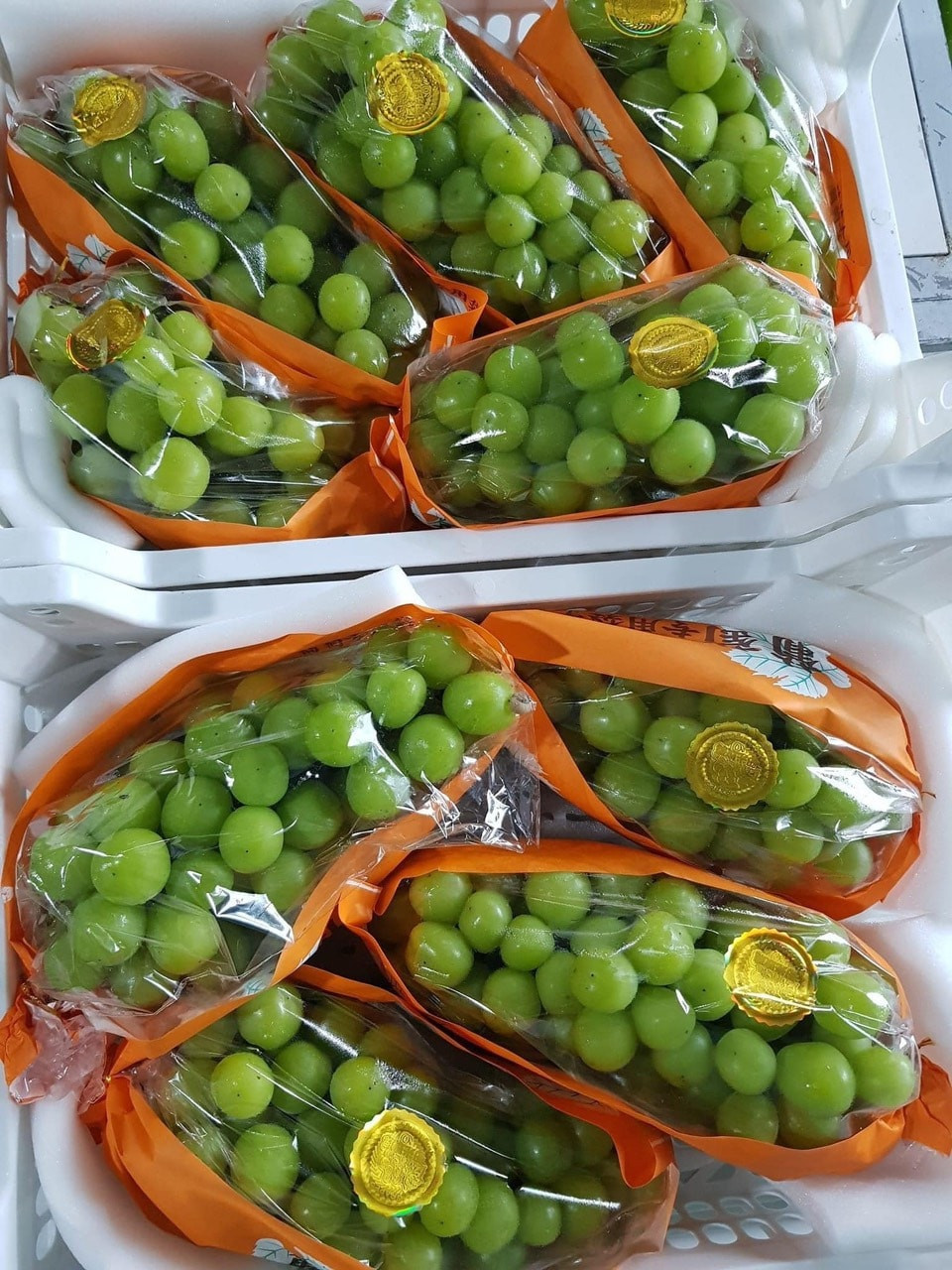 Hơn nữa, nho được chọn lọc rất kỹ càng từ giống đến quá trình canh tác hữu cơ, không dùng bất kỳ hóa chất nào trong quá trình chăm sóc nên giá đắt đỏ tới vài triệu đồng/kg. Ảnh: Facebook