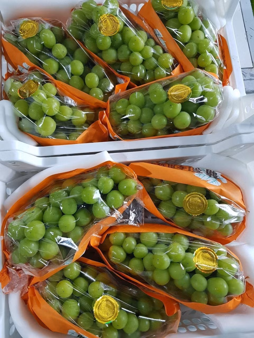 Hơn nữa, nho được chọn lọc rất kỹ càng từ giống đến quá trình canh tác hữu cơ, không dùng bất kỳ hóa chất nào trong quá trình chăm sóc nên giá đắt đỏ tới vài triệu đồng/kg. Ảnh: Facebook