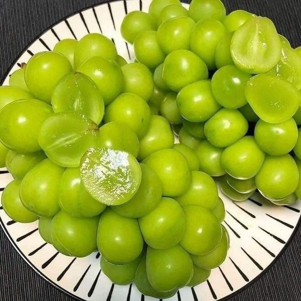 Mức giá này khiến nhiều người không khỏi giật mình bởi thông thường nho mẫu đơn nhập khẩu được bán theo chùm với giá cả triệu đồng. Ảnh: Facebook