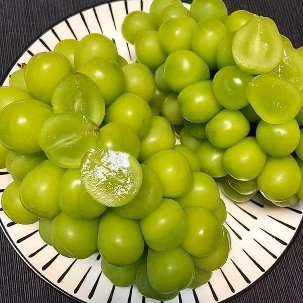 Mức giá này khiến nhiều người không khỏi giật mình bởi thông thường nho mẫu đơn nhập khẩu được bán theo chùm với giá cả triệu đồng. Ảnh: Facebook