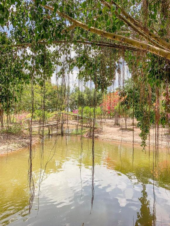 Ở giữ khu vườn của Minh Hằng còn có cả một hồ rộng để thả cá.