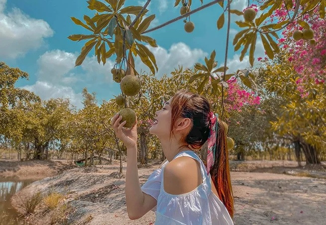 Với diện tích đất rộng lớn, Minh Hằng trồng nhiều rau củ, cây ăn trái như dừa, mận, bầu, bí, nha đam...