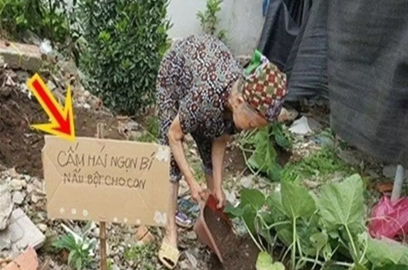 Thông báo rõ ràng để nấu bột cho con, có lẽ tên trộm sẽ thông cảm. Ảnh: 2sao