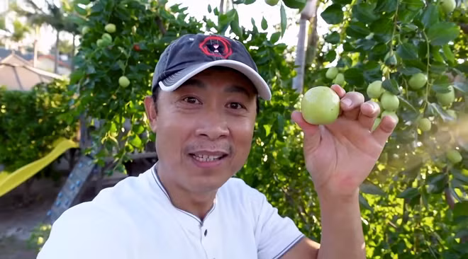 Từ ngày có khu vườn trĩu quả, danh hài Vân Sơn không cần phải đi chợ mua hoa quả.