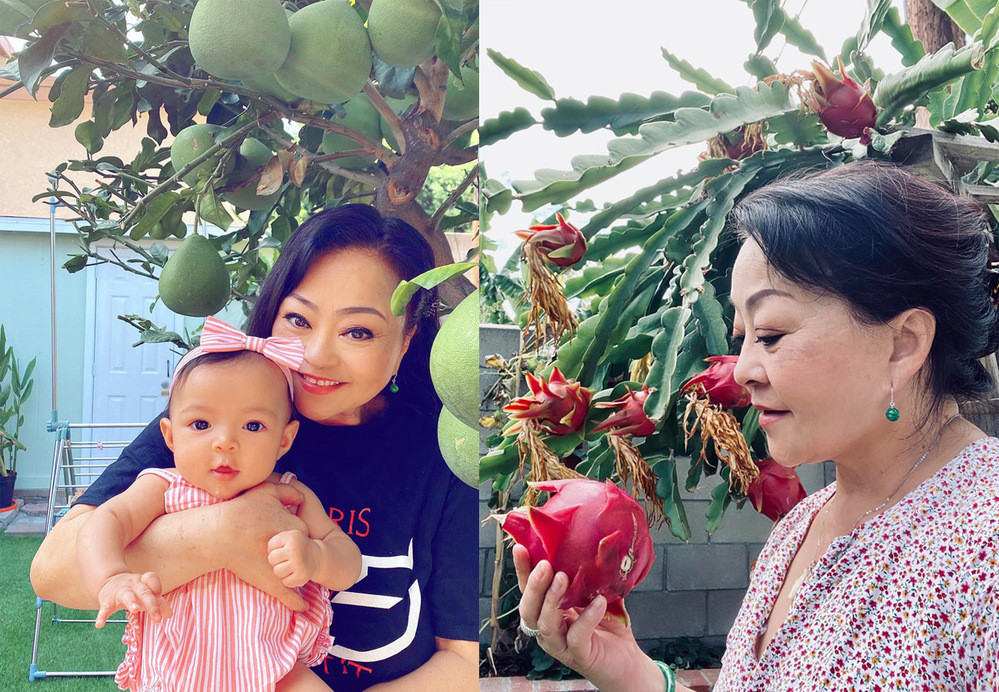 Vợ chồng danh ca Hương Lan cũng trồng khá nhiều loại cây quen thuộc trong căn biệt thự ở California (Mỹ). Nguồn ảnh: FBNV, chụp màn hình