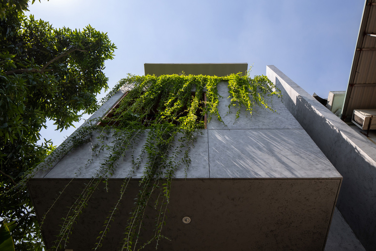 Theo đó, kiến trúc sư đã thiết kế các mảng tường kiên cố kết hợp với khoảng lùi xanh giúp giảm tác động của bức xạ mặt trời từ hướng Tây Nam đồng thời giảm thiểu khói bụi, tiếng ồn từ bên ngoài cho căn nhà.