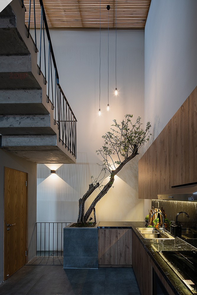 Cây vươn mình lên cao kết hợp những dây đèn thả trần trông đầy chất nghệ thuật.