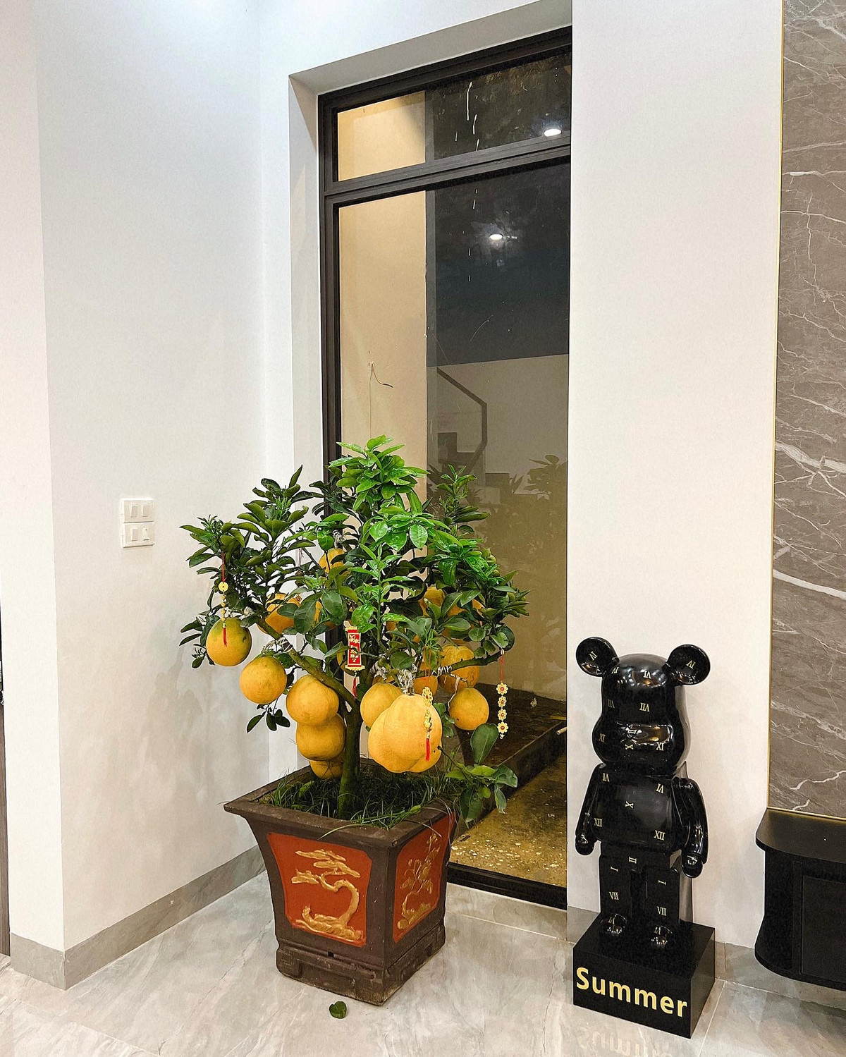 Ngày Tết, bạn gái Thành Chung trang trí nhiều cây cảnh trong nhà.