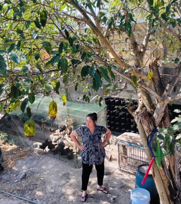 Với diện tích rộng lớn, gia trang của NSND Hồng Vân còn có cả khu nuôi gà, vịt, trồng rau, thậm chí vợ chồng Hồng Vân còn đào ao thả cá.