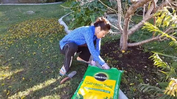 Giọng ca "Con tim dại khờ" dành nhiều thời gian chăm sóc khu vườn.