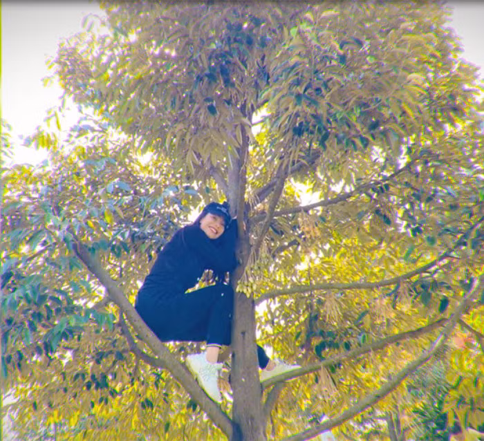 Ban đầu, người đẹp muốn có một mảnh vườn để trồng những loại cây ưa thích và về lâu dài sẽ cải tạo thành nơi nghỉ dưỡng của riêng mình. Ảnh: Vietnamnet