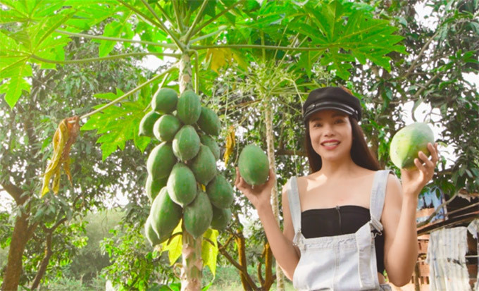 Chưa hết, Trà Ngọc Hằng còn đầu tư 15 tỷ đồng mua mảnh đất rộng ở huyện Định Quán (Đồng Nai), trồng cây ăn quả. Ngoisao